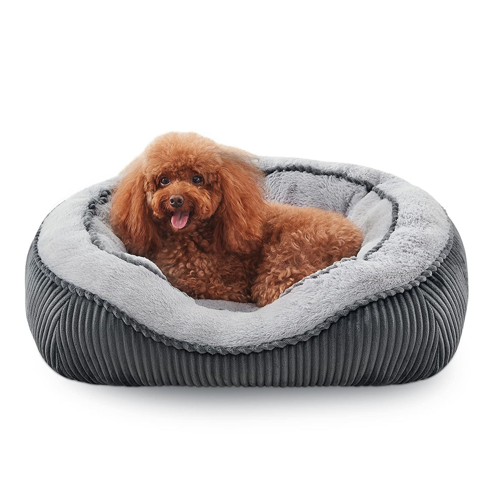 SIWA MARY Camas para perros y gatos pequeños, medianos y grandes. Cama lavable duradera para mascotas, sofá cama ortopédica para perros, diseño elegante de lado ancho de lujo, cama suave y calmante para cachorros, parte inferior antideslizante