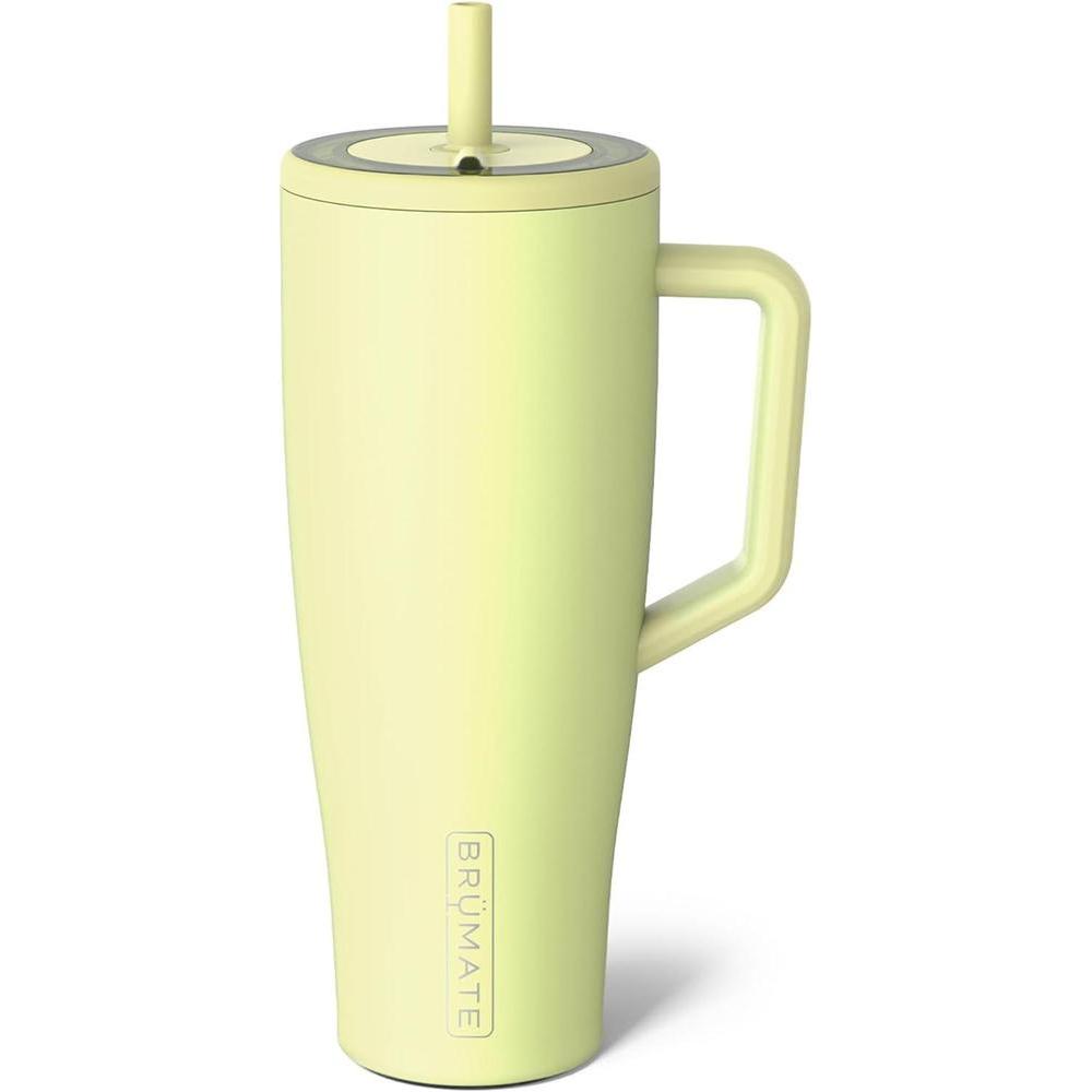 BrüMate Era 40 oz Tumbler with Handle and Straw | 100% Leakproof Insulated Tumbler with Lid and Straw | Made of Stainless Steel | Cup Holder Friendly Base | 40oz (Prickly Pear)