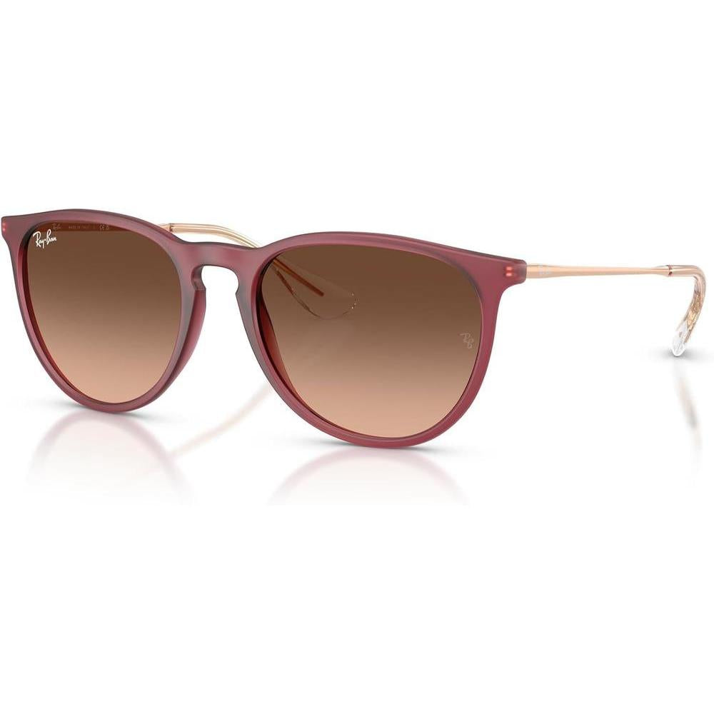 Ray-Ban Rb4171 Erika, gafas de sol redondas con protección UV y estuche incluido