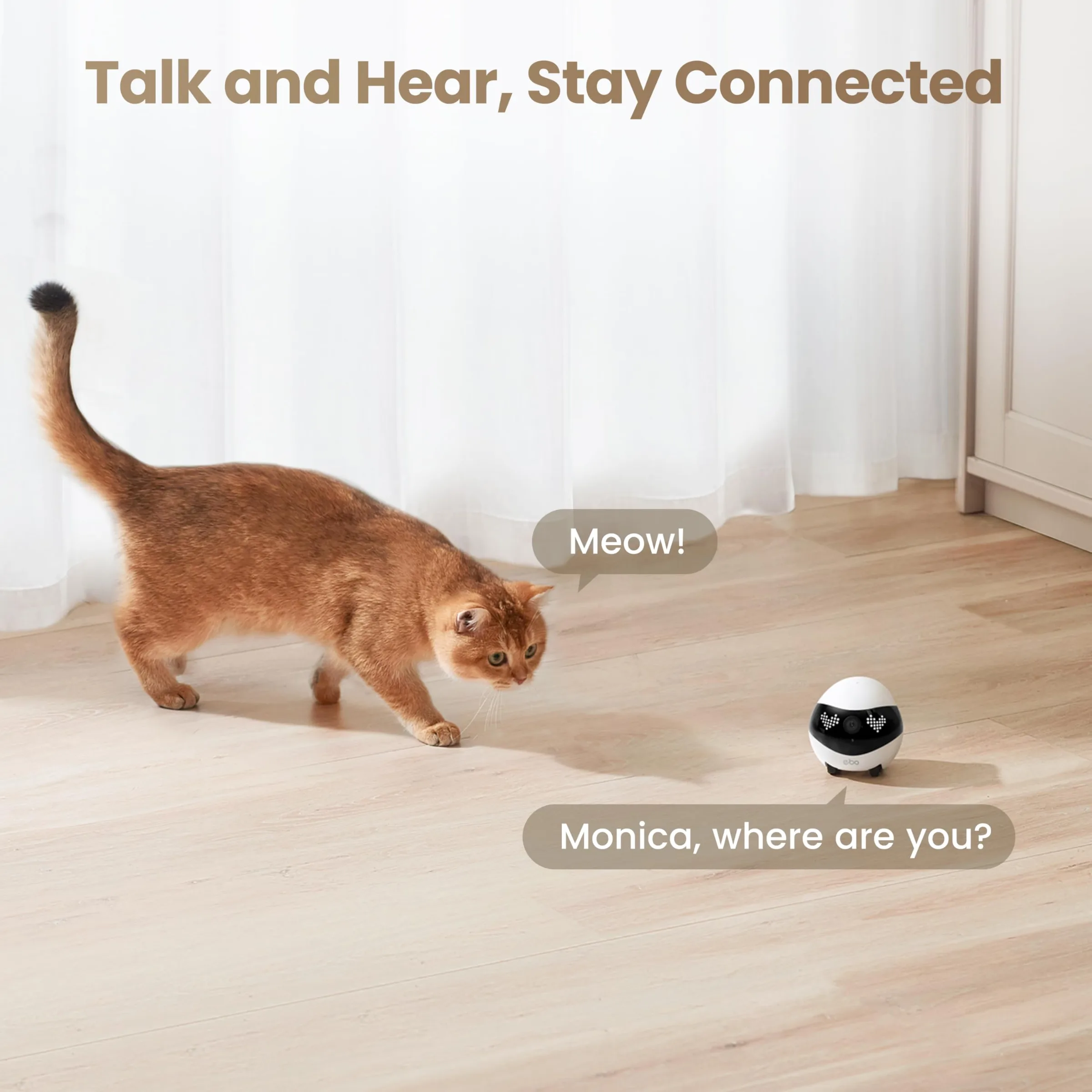 Enabot EBO FamilyBot Home Camera Robot EBO Air 2: 2K Movable Pet Camera, Indoor Robot Companion, Custom Facial Expression, Auto-Recharge, Battery-Operated, 2-Way Talk, Night Vision(Dove White)