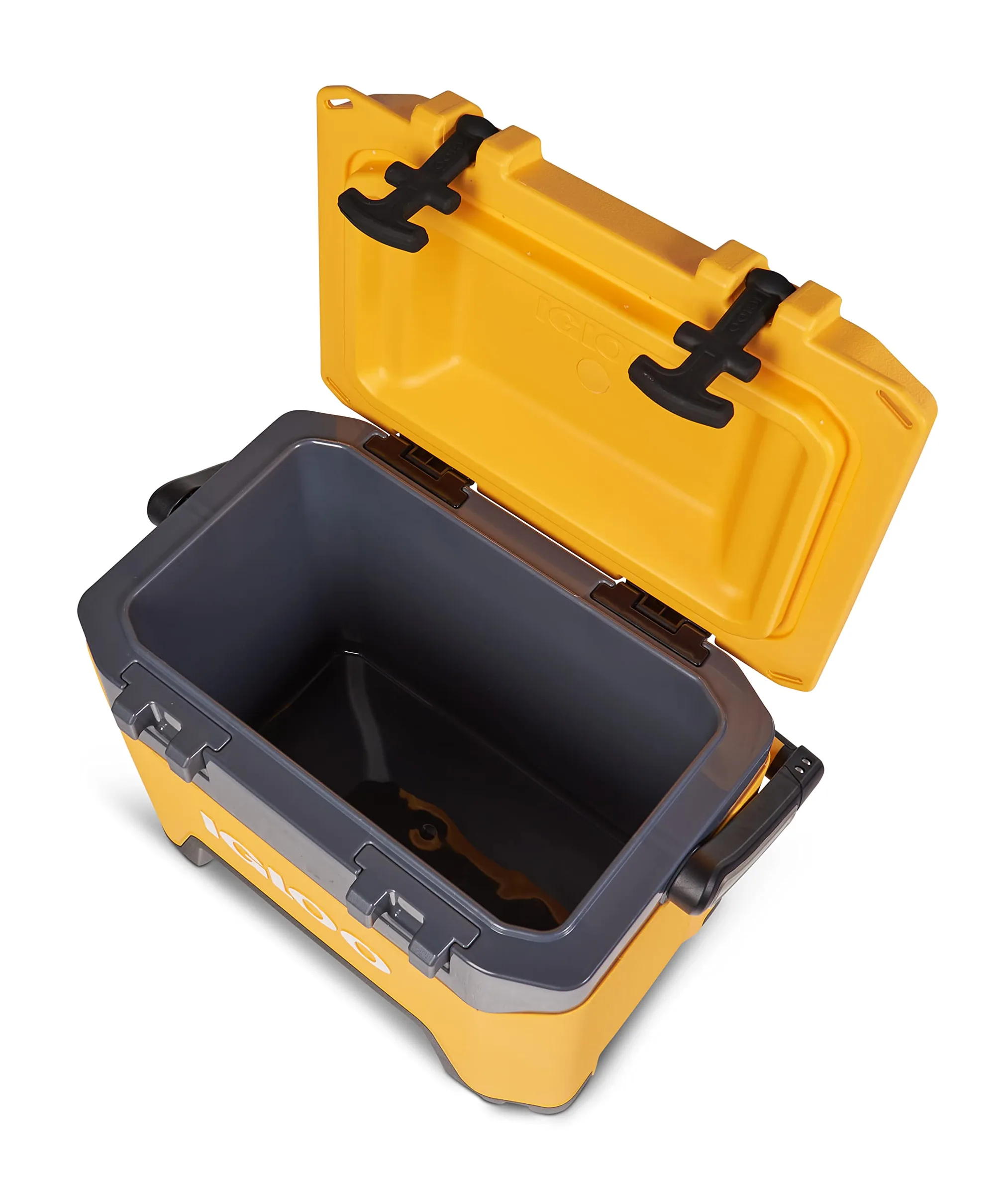 Igloo BMX Cooler | Insulated Hard Shell Ice Chest